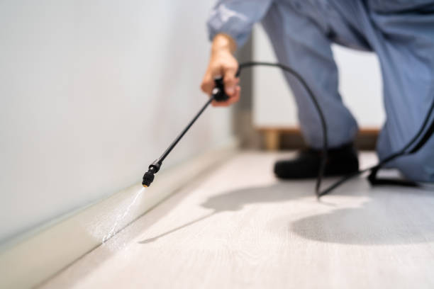 Licensed Termite Control service in Toledo, IL - Nex Pest Control