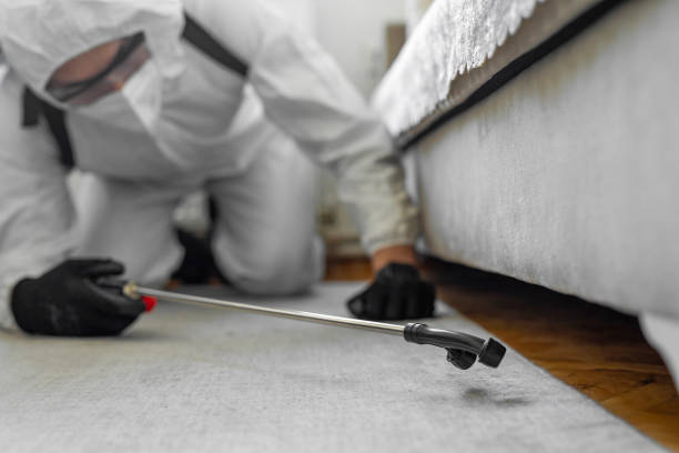 Professional Termite Control technician working in Toledo, IL