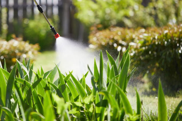 24/7 Emergency Termite Control experts in Toledo, IL