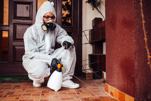 Reliable Termite Control contractor in Toledo, IL by Nex Pest Control