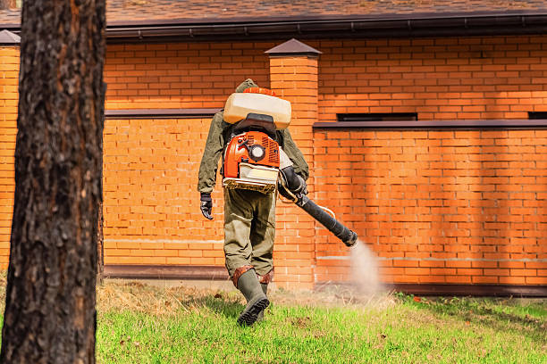 Top rated local Termite Control specialists in Toledo, IL